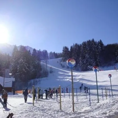 A Valmorel, Proche Pistes Et Esf, Animaux Admis - Fr-1-356-322 فالموريل